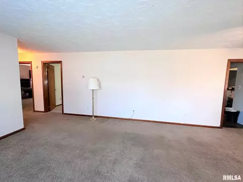 432 W Holmes St, Oneida, IL 61467 photo 9