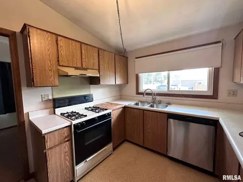 424 W Holmes St, Oneida, IL 61467 photo 8