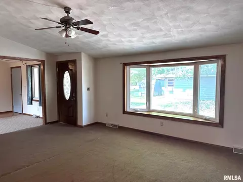 424 W Holmes St, Oneida, IL 61467 photo 6