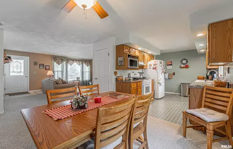 201 W Lantz St, Congerville, IL 61729 photo 12