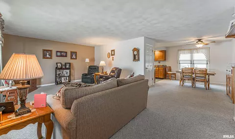 201 W Lantz St, Congerville, IL 61729 photo 7