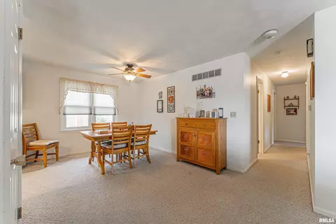 201 W Lantz St, Congerville, IL 61729 photo 10