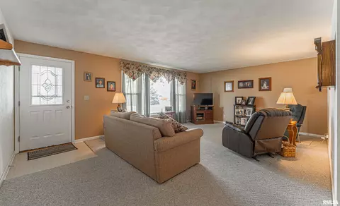 201 W Lantz St, Congerville, IL 61729 photo 8