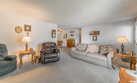 201 W Lantz St, Congerville, IL 61729 photo 9