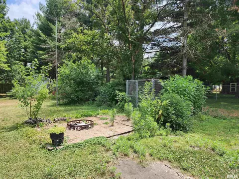 314 Ledlie St, Dawson, IL 62520 photo 3