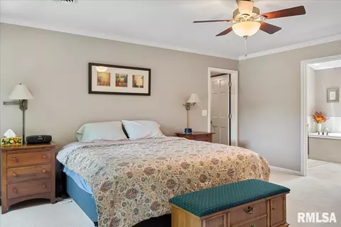 2901 Hedgerow Ln, Springfield, IL 62704 photo 57