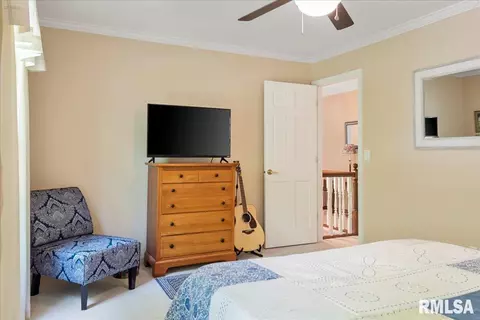 2901 Hedgerow Ln, Springfield, IL 62704 photo 60