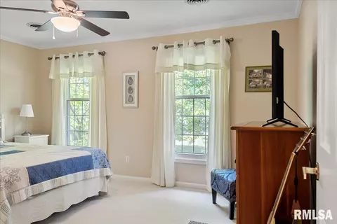 2901 Hedgerow Ln, Springfield, IL 62704 photo 69