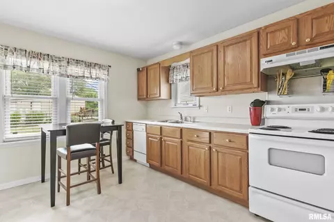 25 Ruth Ct, Springfield, IL 62704 photo 10