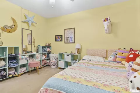 3205 Forsyth Dr, Springfield, IL 62704 photo 20