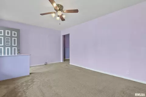 509 Rainbow Dr, Athens, IL 62613 photo 8