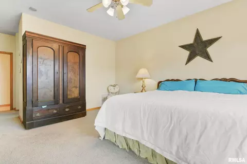 314 Eagle Ridge Dr, Chatham, IL 62629 photo 22