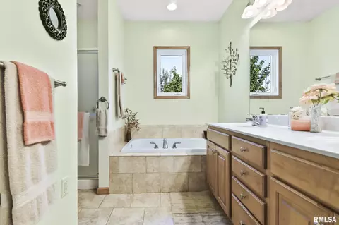 314 Eagle Ridge Dr, Chatham, IL 62629 photo 26