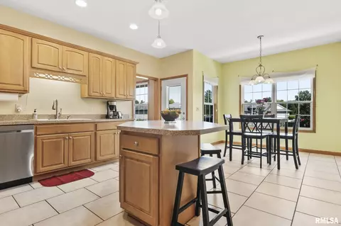 314 Eagle Ridge Dr, Chatham, IL 62629 photo 15