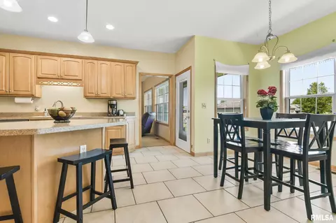 314 Eagle Ridge Dr, Chatham, IL 62629 photo 13