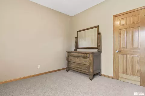 314 Eagle Ridge Dr, Chatham, IL 62629 photo 29
