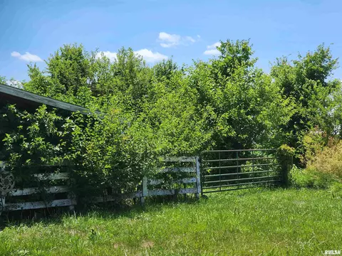 5142 W State Route 97, Springfield, IL 62707 photo 56