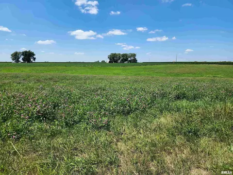 5142 W State Route 97, Springfield, IL 62707 photo 50