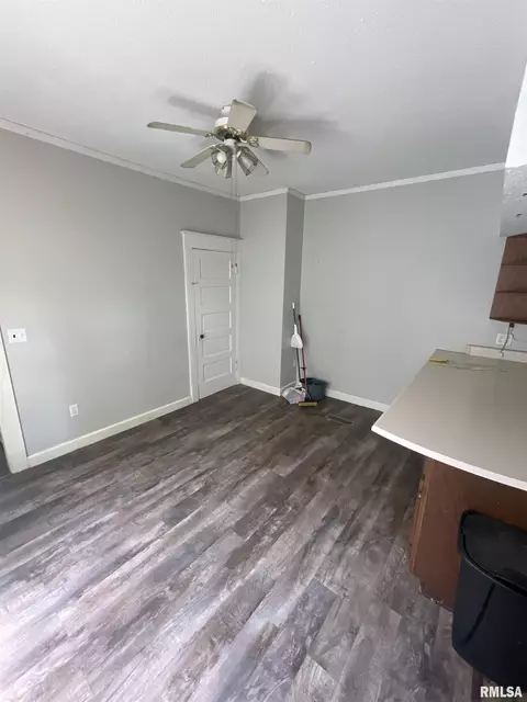 1904 S Spring St, Springfield, IL 62704 photo 9