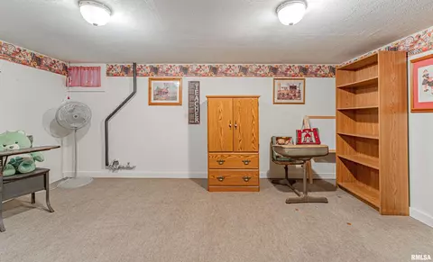 108 E Harry St, Mount Pulaski, IL 62548 photo 20