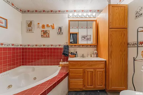 108 E Harry St, Mount Pulaski, IL 62548 photo 14