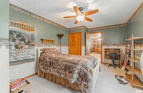 108 E Harry St, Mount Pulaski, IL 62548 photo 16