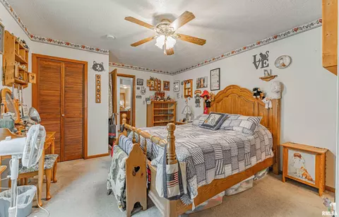108 E Harry St, Mount Pulaski, IL 62548 photo 13