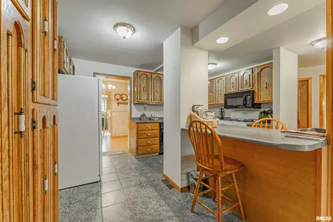 108 E Harry St, Mount Pulaski, IL 62548 photo 6