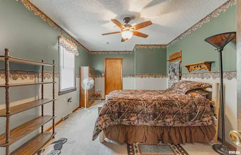 108 E Harry St, Mount Pulaski, IL 62548 photo 15