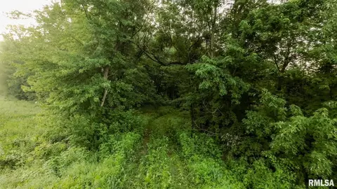 00 E State Route 100 Rte, Browning, IL 62624 photo 8