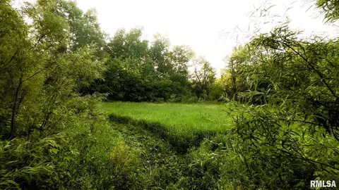 00 E State Route 100 Rte, Browning, IL 62624 photo 10