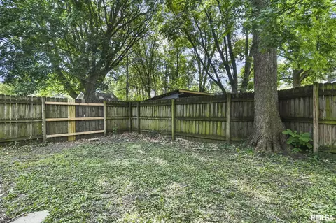 602 S Douglas Ave, Springfield, IL 62704 photo 34