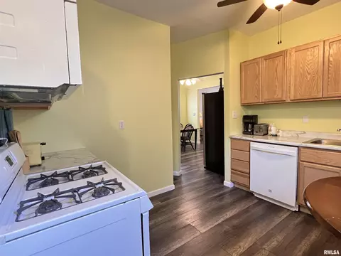 1315 S Pasfield St, Springfield, IL 62704 photo 8