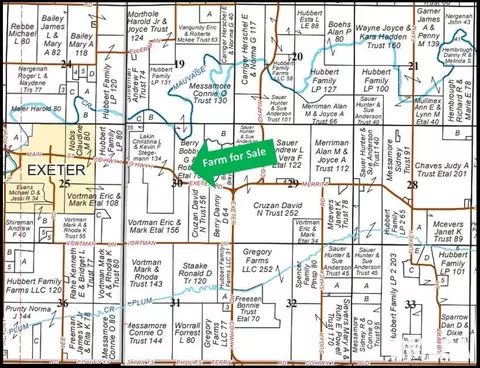 Exeter Blacktop Road, Exeter, IL 62621 photo 15