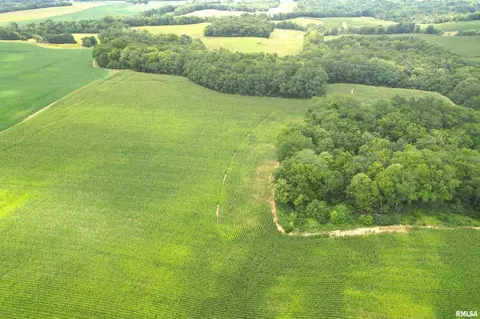 Exeter Blacktop Road, Exeter, IL 62621 photo 9