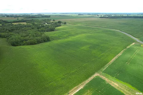 Exeter Blacktop Road, Exeter, IL 62621 photo 6
