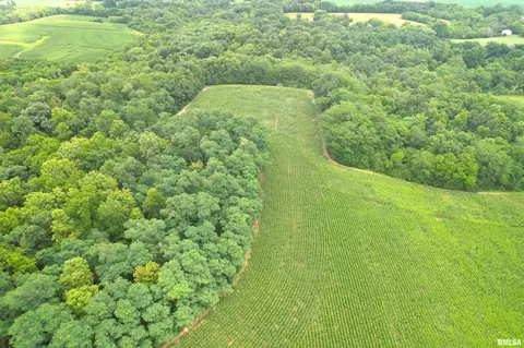 Exeter Blacktop Road, Exeter, IL 62621 photo 10