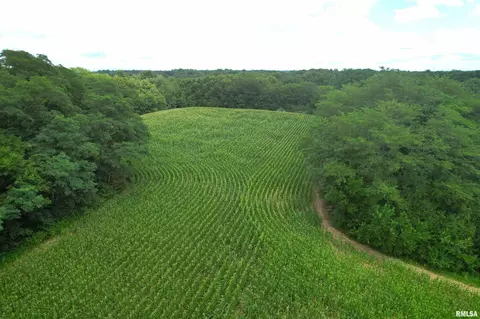 Exeter Blacktop Road, Exeter, IL 62621 photo 12