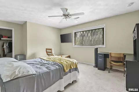10 Woods End Ln, Springfield, IL 62711 photo 46