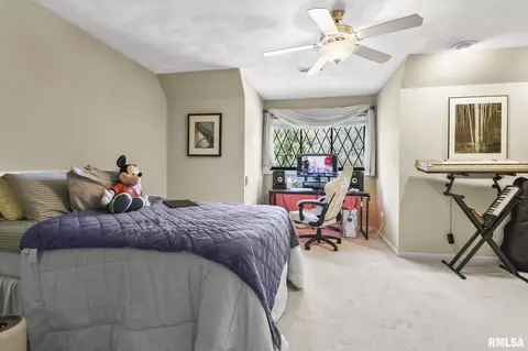 10 Woods End Ln, Springfield, IL 62711 photo 50