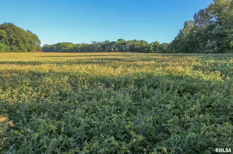 1503 W 1st Ave, Coal Valley, IL 61240