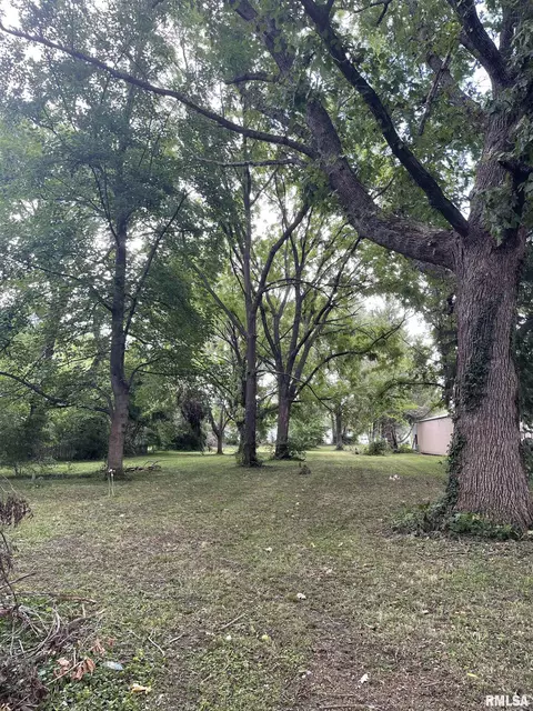 896 E State St, Jacksonville, IL 62650 photo 38