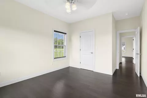 64 Firefly Ct, Chatham, IL 62629 photo 25