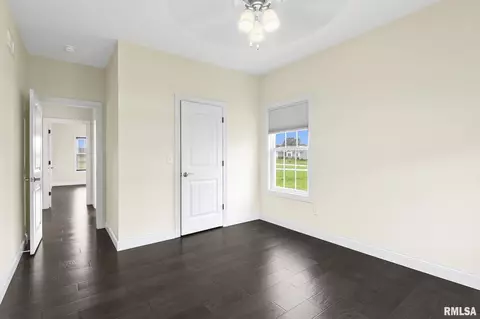 64 Firefly Ct, Chatham, IL 62629 photo 27