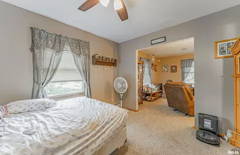 224 Rhoads Ave, Lincoln, IL 62656 photo 9