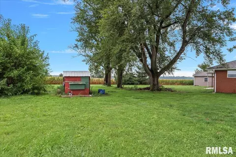 24365 Edwards St, Greenview, IL 62642 photo 63