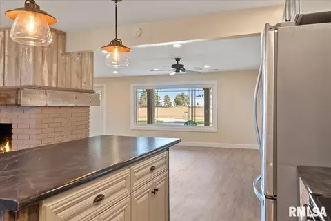 24365 Edwards St, Greenview, IL 62642 photo 16