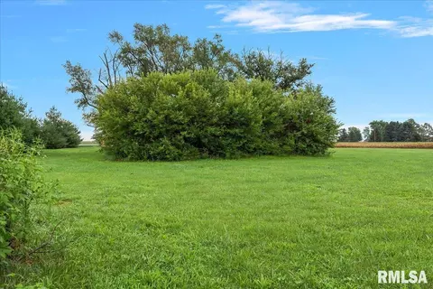 24365 Edwards St, Greenview, IL 62642 photo 69