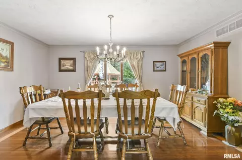 509 N Durkin Dr, Springfield, IL 62702 photo 16