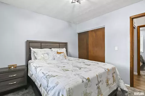 2249 E Watch Ave, Springfield, IL 62702 photo 13
